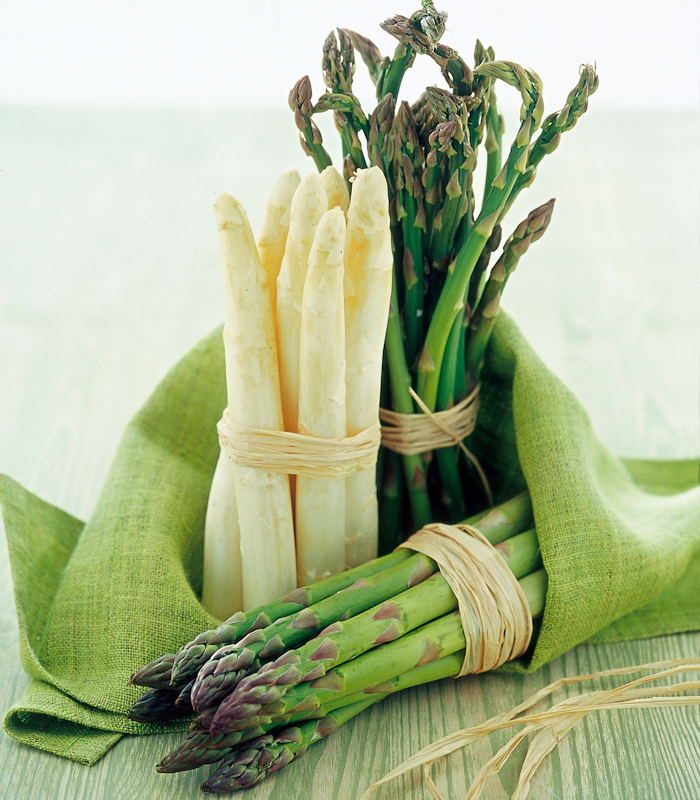 gli asparagi