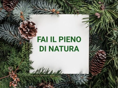 Trattamenti consigliati per il benessere d’inverno – 2° parte